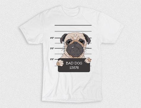 Kaos Bad Dog Suspect