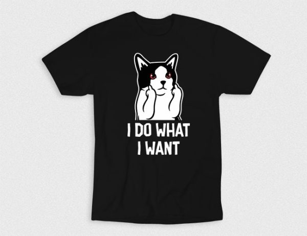 Kaos I Do Whatever Cat