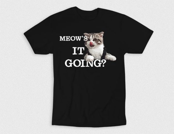 Kaos Meows It Going