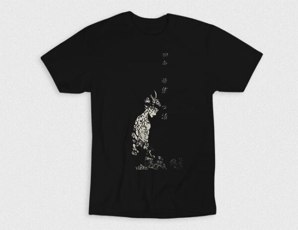 Kaos Fighter Anime