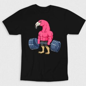 Kaos Gym Eagle