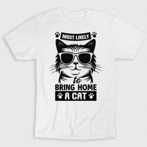 Kaos To Bring Home A Cat Most Likely