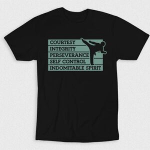 Kaos Taekwondo Requirements V1