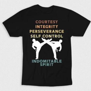 Kaos Taekwondo Requirements V3