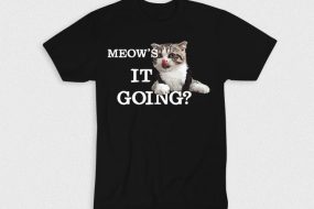 Kaos Meows It Going