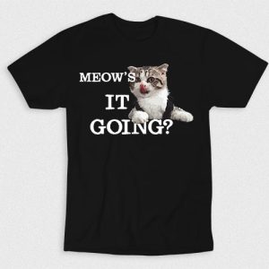 Kaos Meows It Going