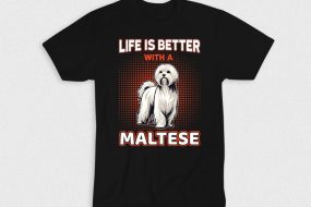 Kaos Life Better With Maltese Dog