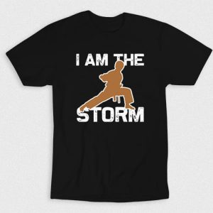 Kaos I Am The Storm