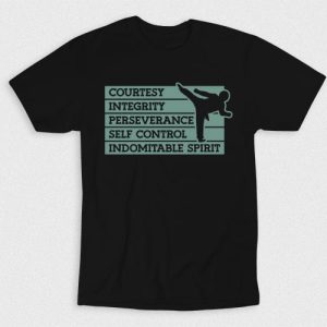 Kaos Taekwondo Requirements V1