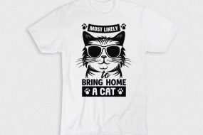 Kaos To Bring Home A Cat Most Likely